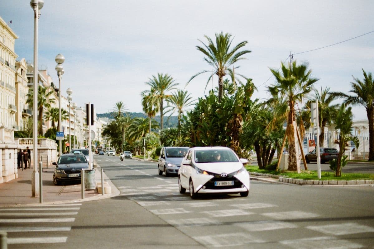 Voitures circulant sur une avenue bordée de palmiers à Nice
