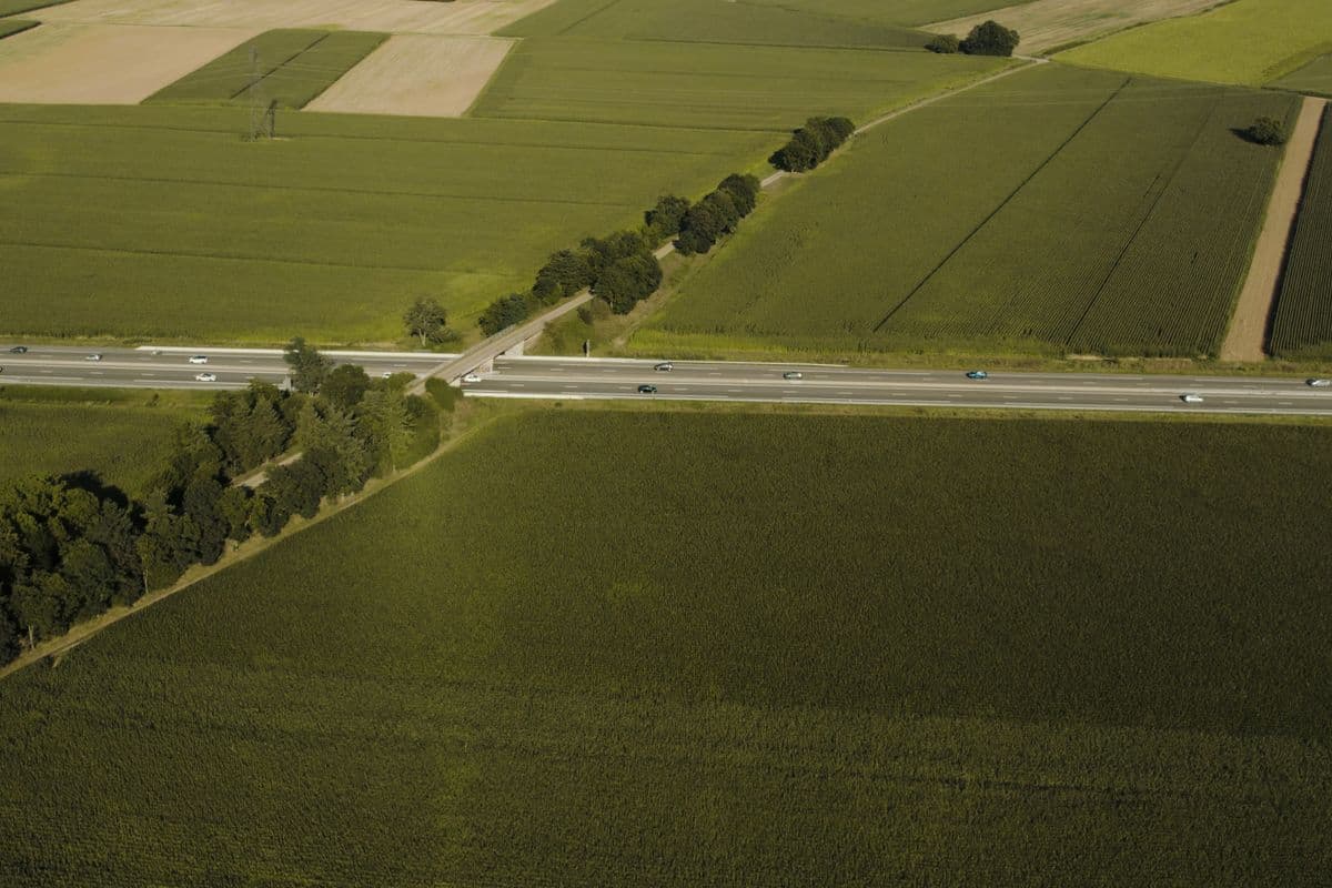 Vue aérienne d'une autoroute traversant des champs près de Sélestat, en Alsace